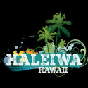 Haleiwa Hawaii Vacation